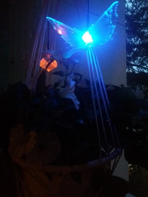 20180808_222058.jpg