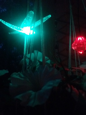 20180808_223945.jpg
