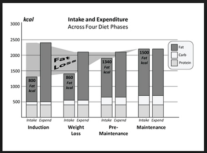 Fat loss.png
